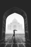 Through the Arches