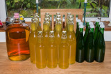 Making Cider