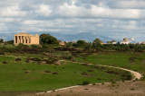 18_d800_2293 Selinunte