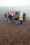 18_d800_2925 Etna