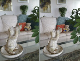 Selective vs Regular_Focus.