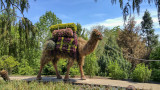 Camel Topiary at the Atlanta Botanic Garden
