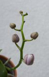 P1180430 February 25