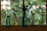 Five bottles