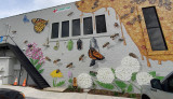 Bee Wall