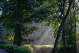 DSC05348D Beautiful Morning