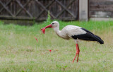 _DSC5857.jpg