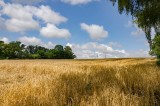 _DSC6092.jpg