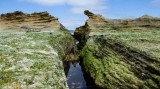 _DSC6761.jpg