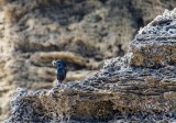 _DSC6770.jpg