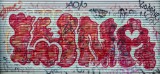 _DSC7779.jpg