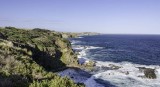_DSC0163.JPG