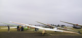 P0003733.JPG
