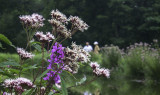 P0000326.JPG