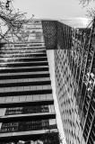 _DSC0827.JPG
