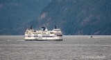 MV Queen of Surrey