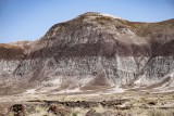 WHF_0108.jpg