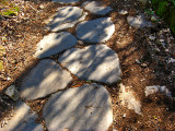 Stones of a Roman Road<br />2011