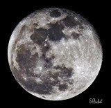 Wolf Moon 2009