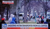 Insurrection at the Capital