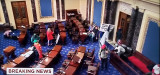 Insurrection at the Capital