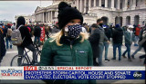 Insurrection at the Capital