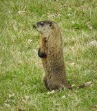 Photo of the Day Archives: 2021