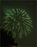 Fireworks Over the Backyard