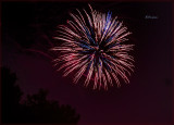 Fireworks Over the Backyard