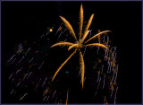 Fireworks Over the Backyard