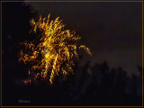 Fireworks Over the Backyard