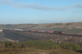 GLMP_P0646.jpg