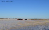 Train 442