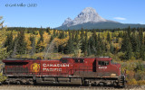 Canadian Pacific 2020