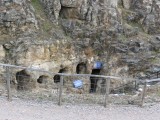 IMG_0317 (Large).JPG