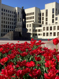 Red flowers at the House of Government, Minsk