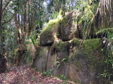 IMG_5599.jpg