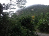 IMG_5621.jpg