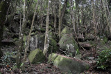 Seychelles Jul17 125.jpg