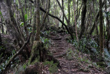 Seychelles Jul17 133.jpg