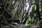 Seychelles Jul17 137.jpg