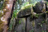 Seychelles Jul17 140.jpg