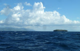 Dive 5 - Pescador Island