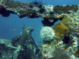 Dive 4 - Wreck of the Doa Ana