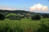 Tuscan countryside, Province of Siena