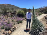 Portillo de la Villa Nature Trail, Teide National Park, Tenerife