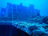 DiveHawaii Dec19 020.jpg