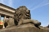 Lion in front of St. Georges Hall, Liverpool