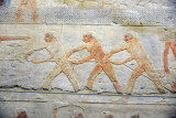 Ancient Egyptian relief with naked men pulling on a rope