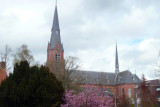 Den Haag
